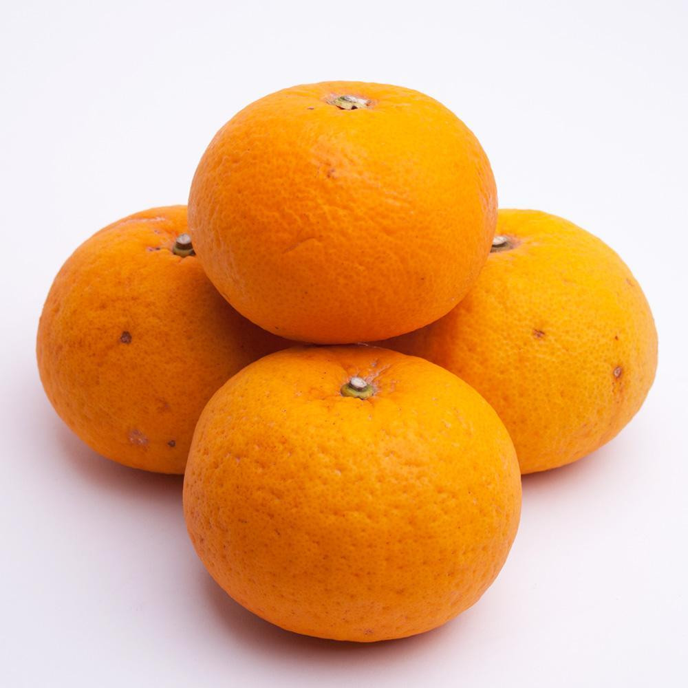 å
è¡äºçŽïŒœå³éž ç倿5kg+250gïŒå·ã¿è£ååïŒïŒ»åå€ã®ã¿ããã»æ¬ã®æç©ïŒœïŒ»æç°ç£ïŒœïŒ»å
ã»ã³ãµãŒé£ã¹é åºè·ïŒœïŒ»IKE72