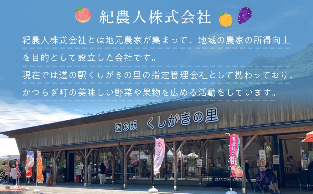 道の駅くしがきの里セット 富有柿3個・温州みかん約30個の詰め合わせ こだわり農家厳選［KG29］