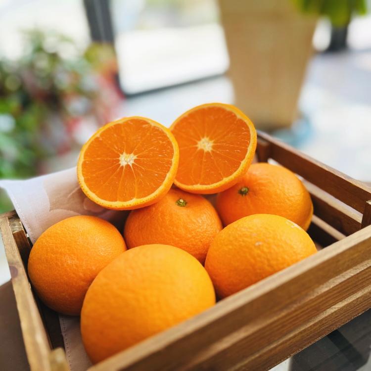 厳選 完熟 清見 オレンジ 約2kg【先行予約・2025年2月～発送】【MS36】