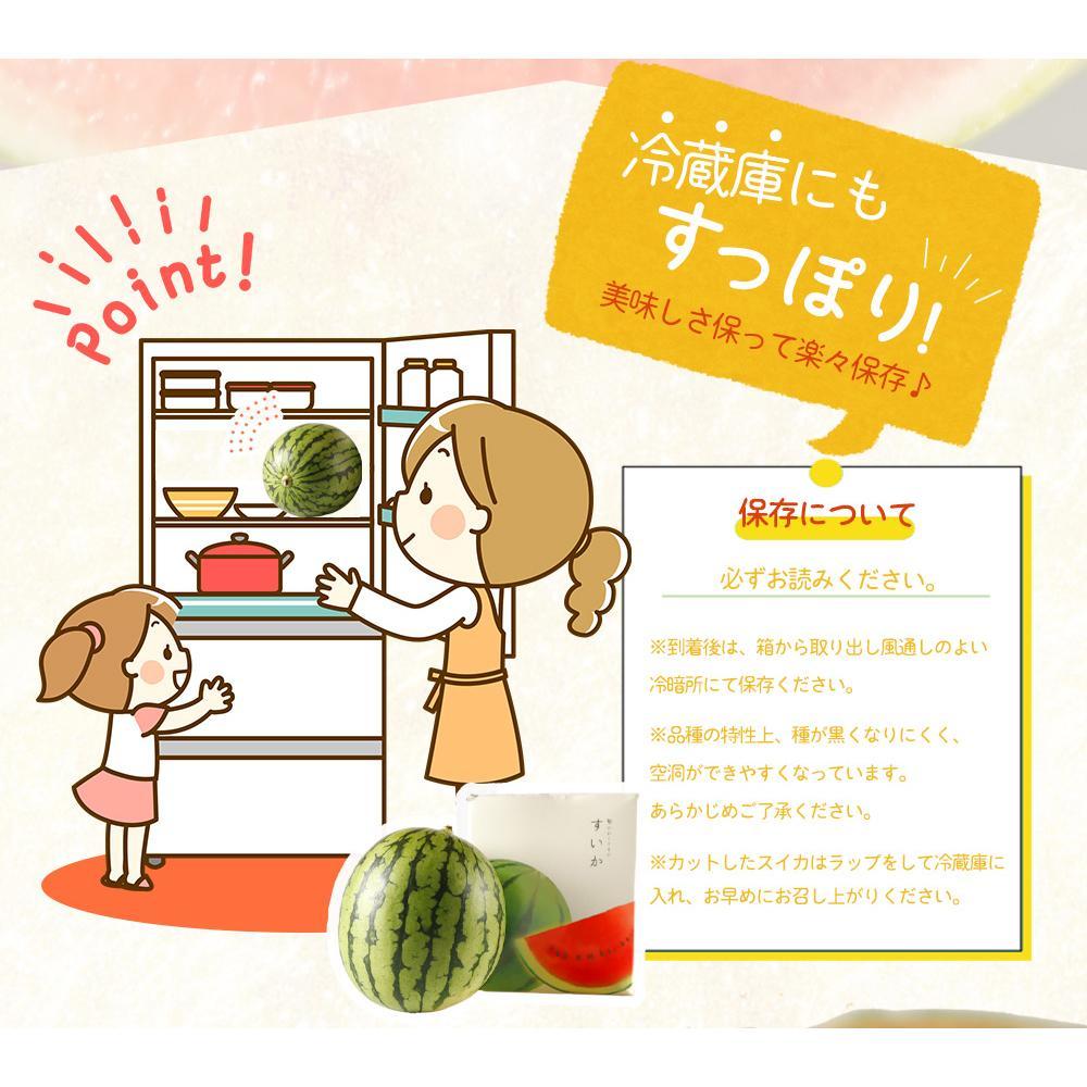 紀州和歌山産 小玉スイカ「ひとりじめ」 1玉【2025年6月上旬頃～2025年6月下旬頃に順次発送】【UT85】