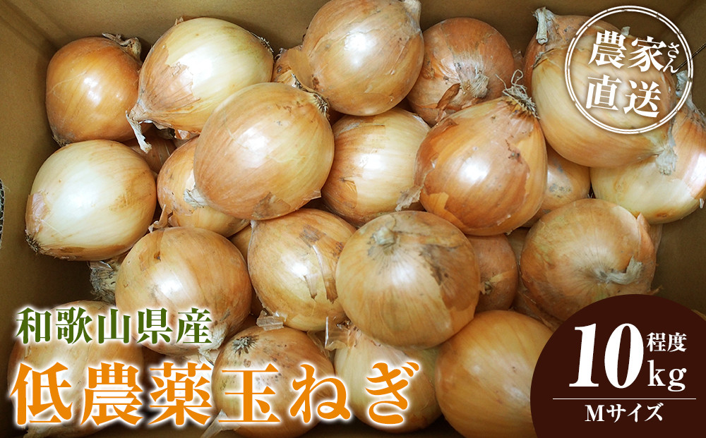［2026年発送分・先行予約］農家さん直送 低農薬玉ねぎ Mサイズ 10kg程度［4月中旬〜7月中旬頃発送予定］［KF17］