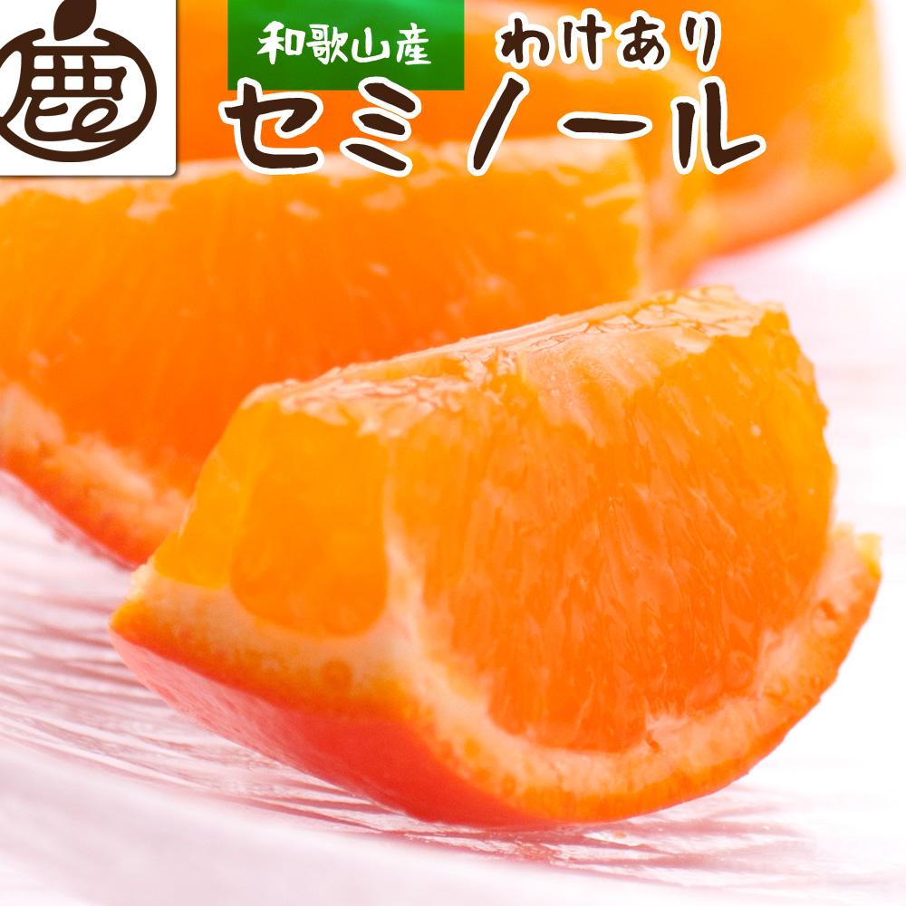 ＜4月より発送＞家庭用 セミノールオレンジ3kg+90g（傷み補償分）【有田の春みかん】【有田産】【光センサー食べ頃出荷】【わけあり・訳あり】