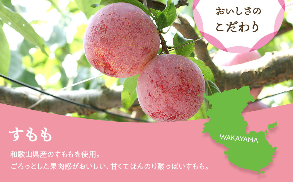 和歌山県産 国産果実 ドライフルーツ すもも 50g×3袋