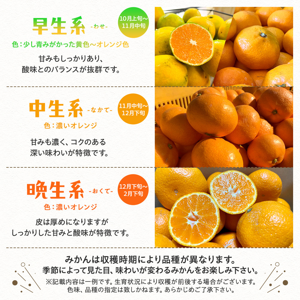 ［先行予約］ご家庭用 完熟 有田みかん 3kg［2026年11月発送予定］訳あり 農家直送［MS3-1］