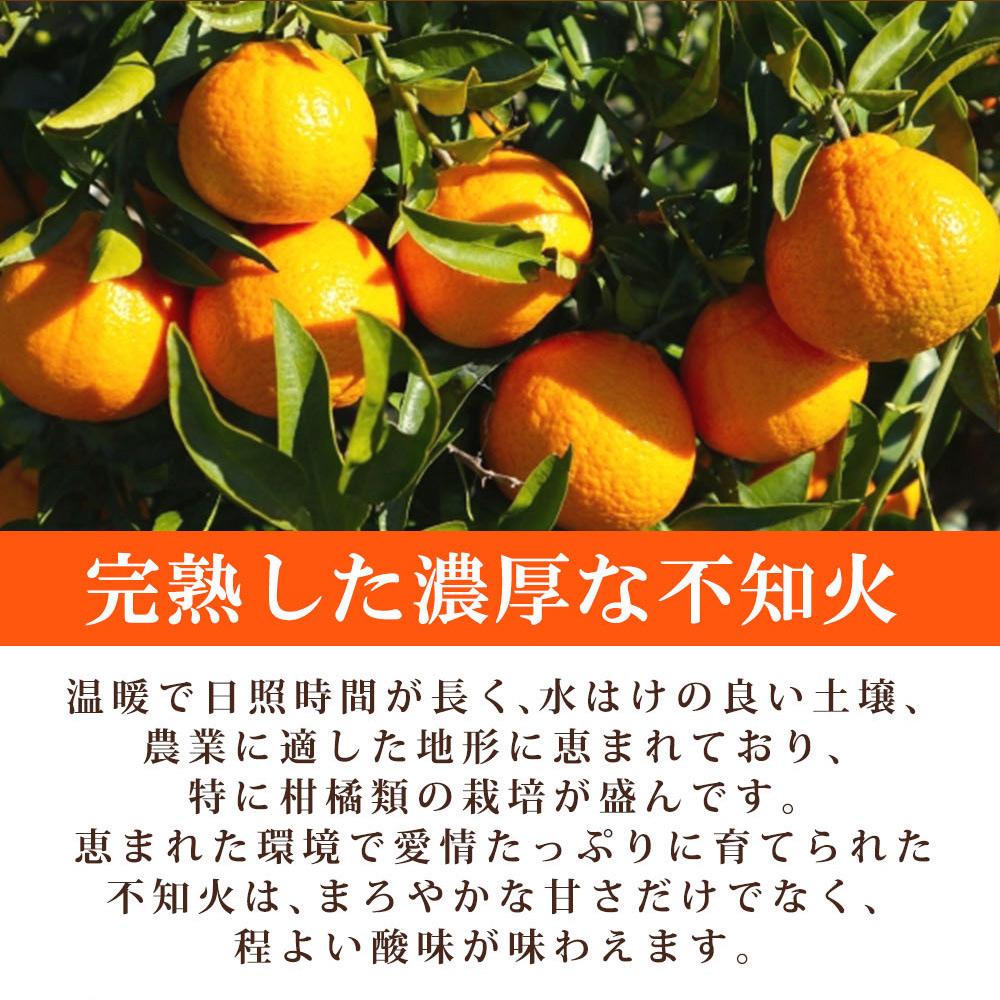 【ご家庭用訳あり】紀州有田産不知火(しらぬひ) 約6kg【2025年2月中旬以降発送】【先行予約】【UT130】