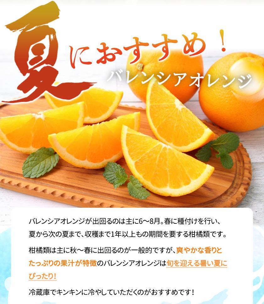 希少な国産バレンシアオレンジ 7kg【ご家庭用訳あり】【2025年6月下旬頃～2025年7月上旬頃に順次発送】【UT77】