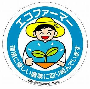 採れたてタネなし柿“2L”サイズ7.5kg＜2024年10月中旬〜10月下旬頃発送予定＞