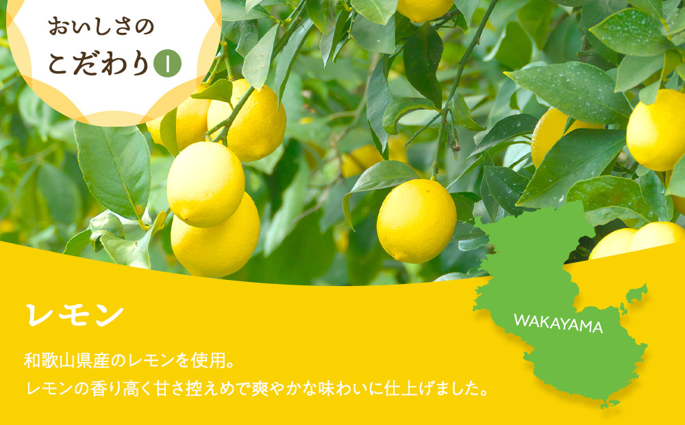 蜥梧ュ悟アア逵檎肇 繝峨Λ繧、繝輔Ν繝シ繝 繝ャ繝「繝ウ 22gテ6陲