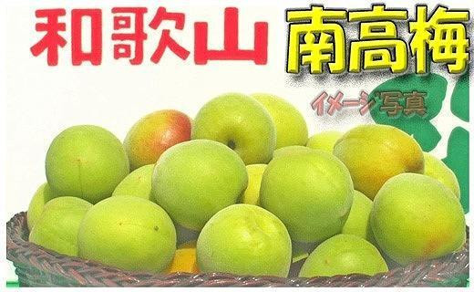 ［梅干・梅酒用］小粒（SまたはM−3Kg）熟南高梅＜2026年6月下旬〜7月中旬発送予定＞フルーツ 果物 くだもの 食品 人気 おすすめ 送料無料［ART20］