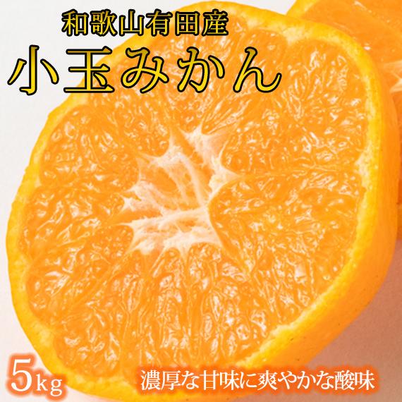 有田の小粒みかん 約5kg (S〜3Sサイズ混合)【2025年11月下旬以降発送】【先行予約】【UT134】