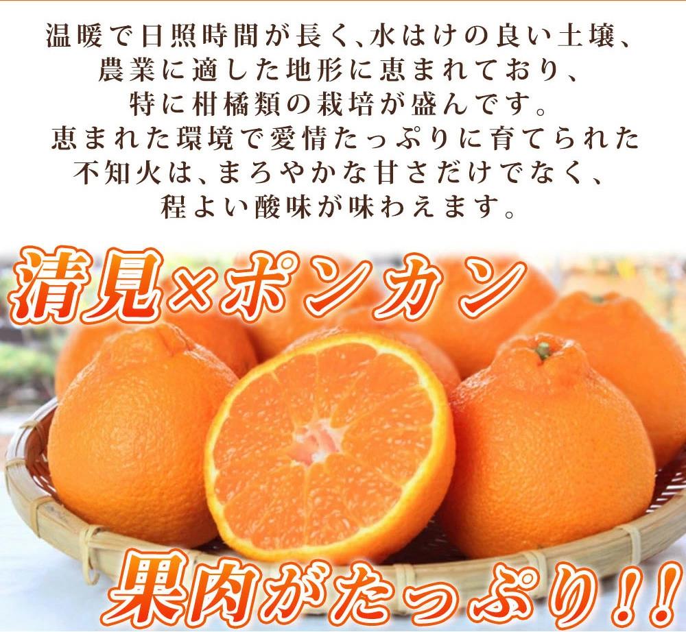 【ご家庭用訳有り】紀州有田産不知火(しらぬひ) 約8.5kg【2025年2月中旬以降発送】【先行予約】【UT41】