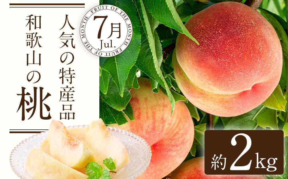 【定期便全3回】産直・厳選フルーツ定期便【TM190】