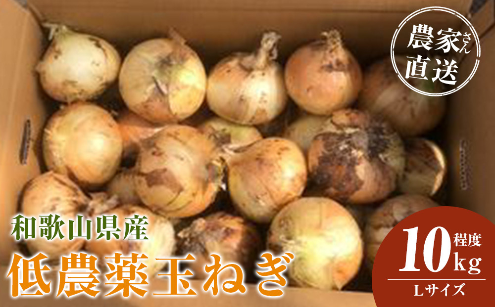 ［2026年発送分・先行予約］農家さん直送 低農薬玉ねぎ Lサイズ 10kg程度［4月中旬〜7月中旬頃発送予定］［KF16］