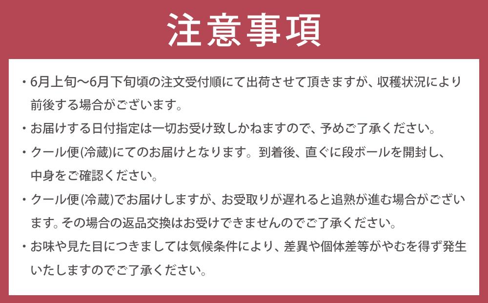 【2025年6月上旬以降発送】紀州南高梅(完熟梅) 2kg〈大粒/3Lサイズ〉