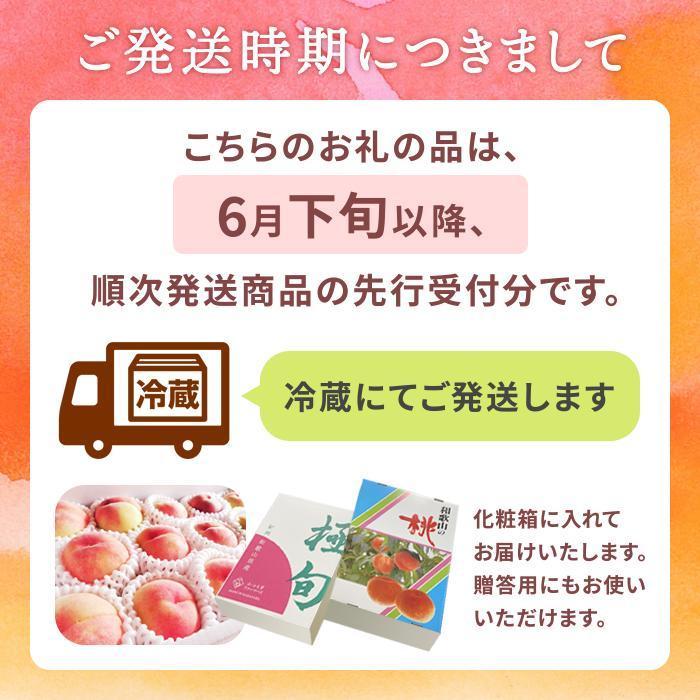 和歌山県産 白鳳 桃 5〜8玉入り 秀品 先行予約【2025年6月下旬以降発送】【MG6】