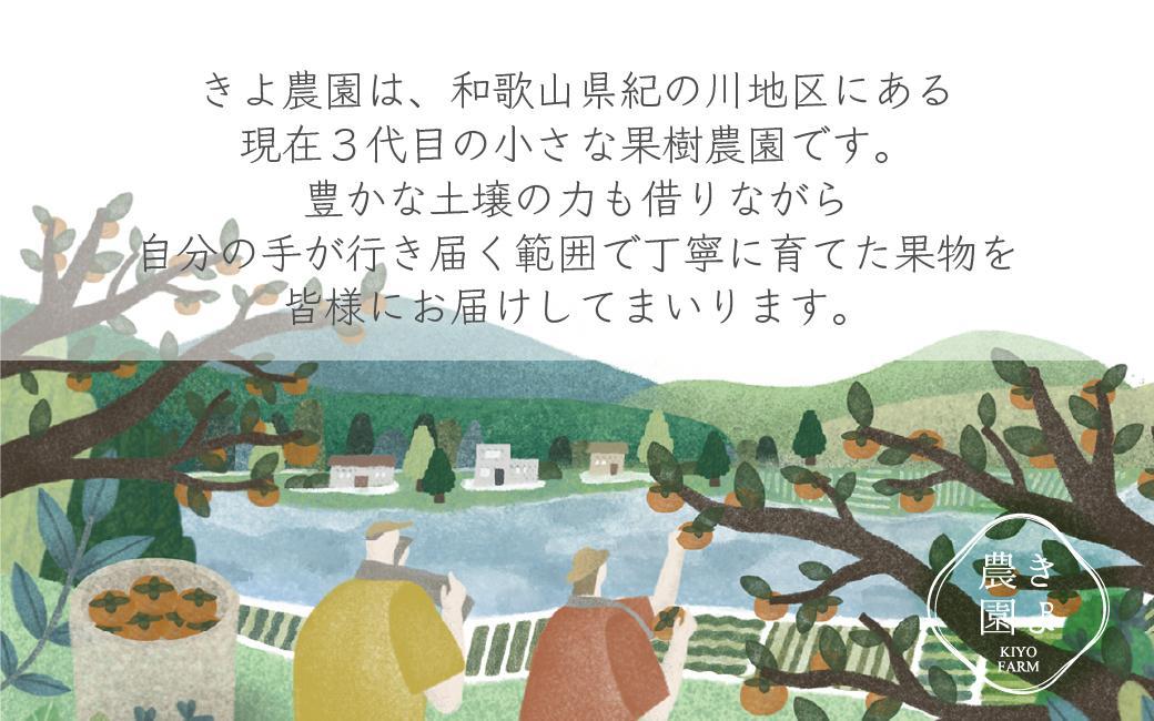 柿(種無し) 6個入 (約2kg)  秀品大玉【2025年9月下旬頃より発送】【KT1】