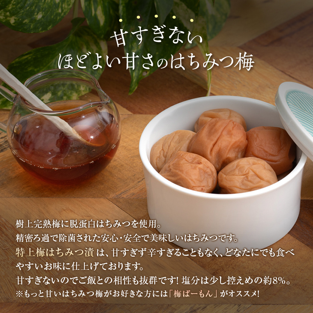 紀州南高梅 はちみつ梅 450g ［Kn15］