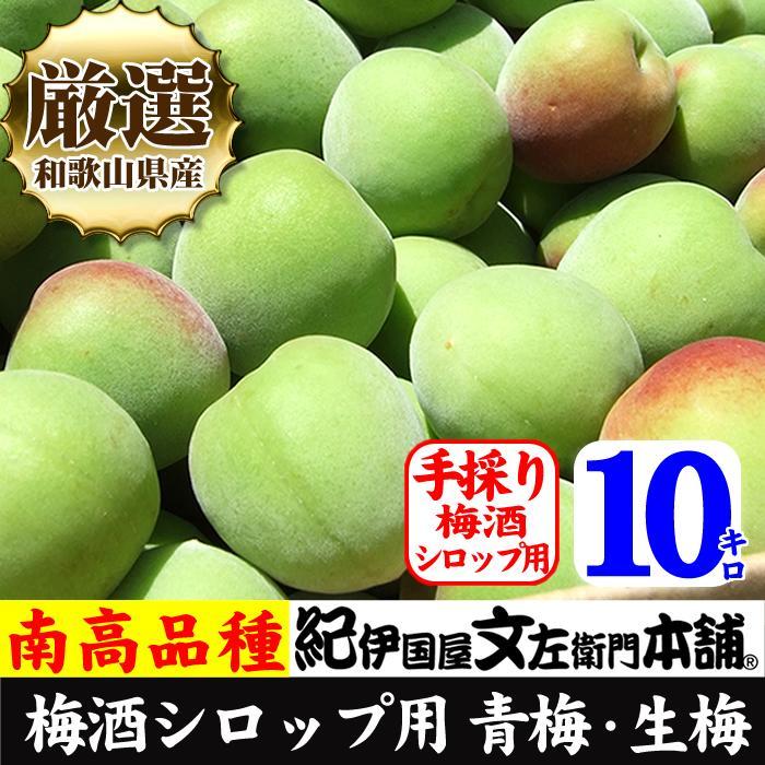 10kg【緑】■特大サイズ 南高梅 梅酒用 フレッシュ青梅（生梅）／紀伊国屋文左衛門本舗