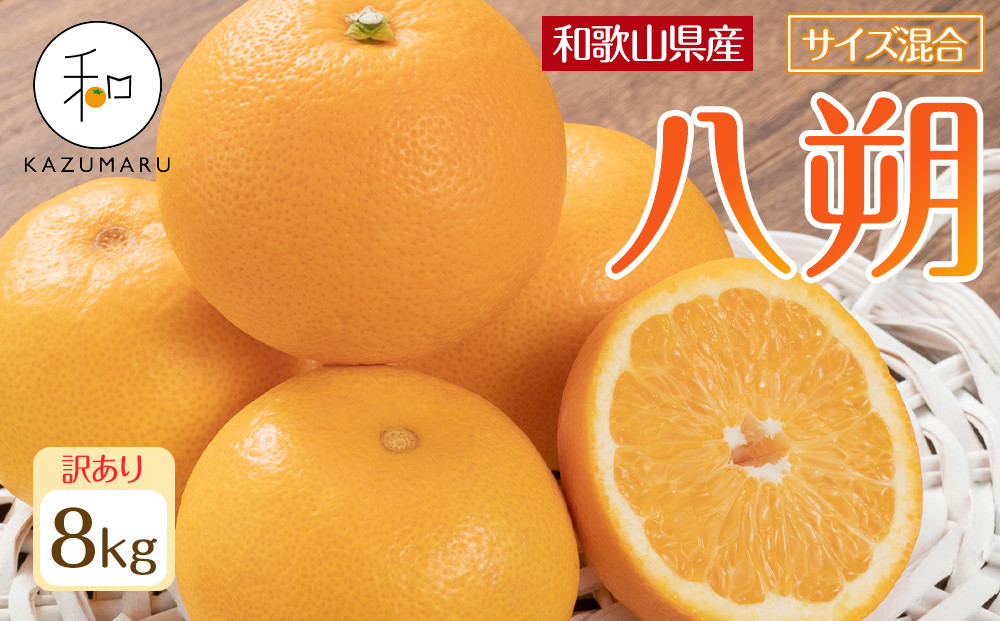 訳あり 森本農園の手選別 八朔 約8kg 和歌山県産 サイズ混合 ［北海道・沖縄・離島配送不可］［2026年1月中旬から2月中旬頃順次発送予定］［RN120］