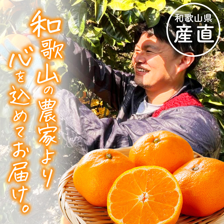 わかやま旬のフルーツ定期便[S] 全4回 2〜3・7・10・11〜12月発送 家庭用［MS123］