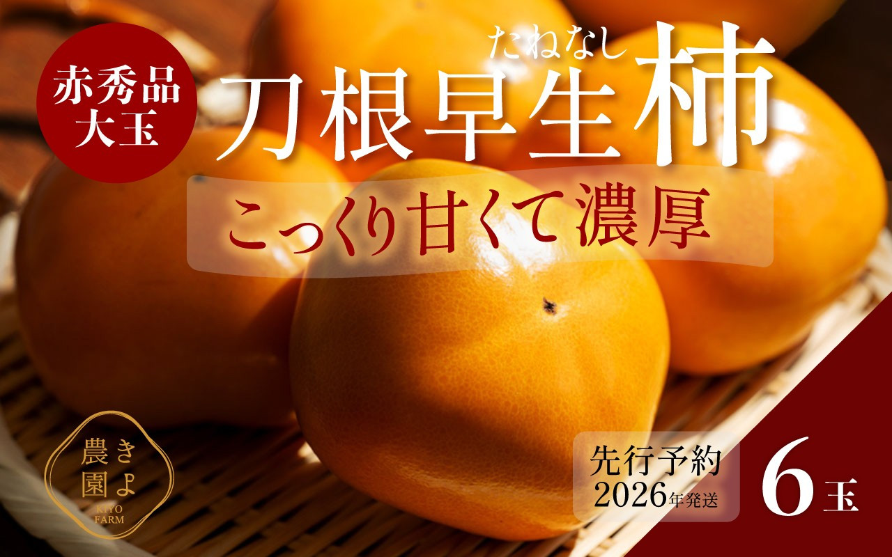 柿(種無し) 6個入 秀品大玉［2026年9月末頃より発送］［KT1］