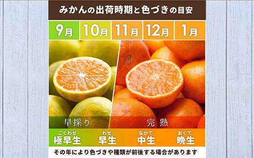 ［先行予約］家庭用 有田みかん2.5kg+250g（傷み補償分）［2026年10月初旬から2027年1月末日頃順次発送予定］［IKE248］