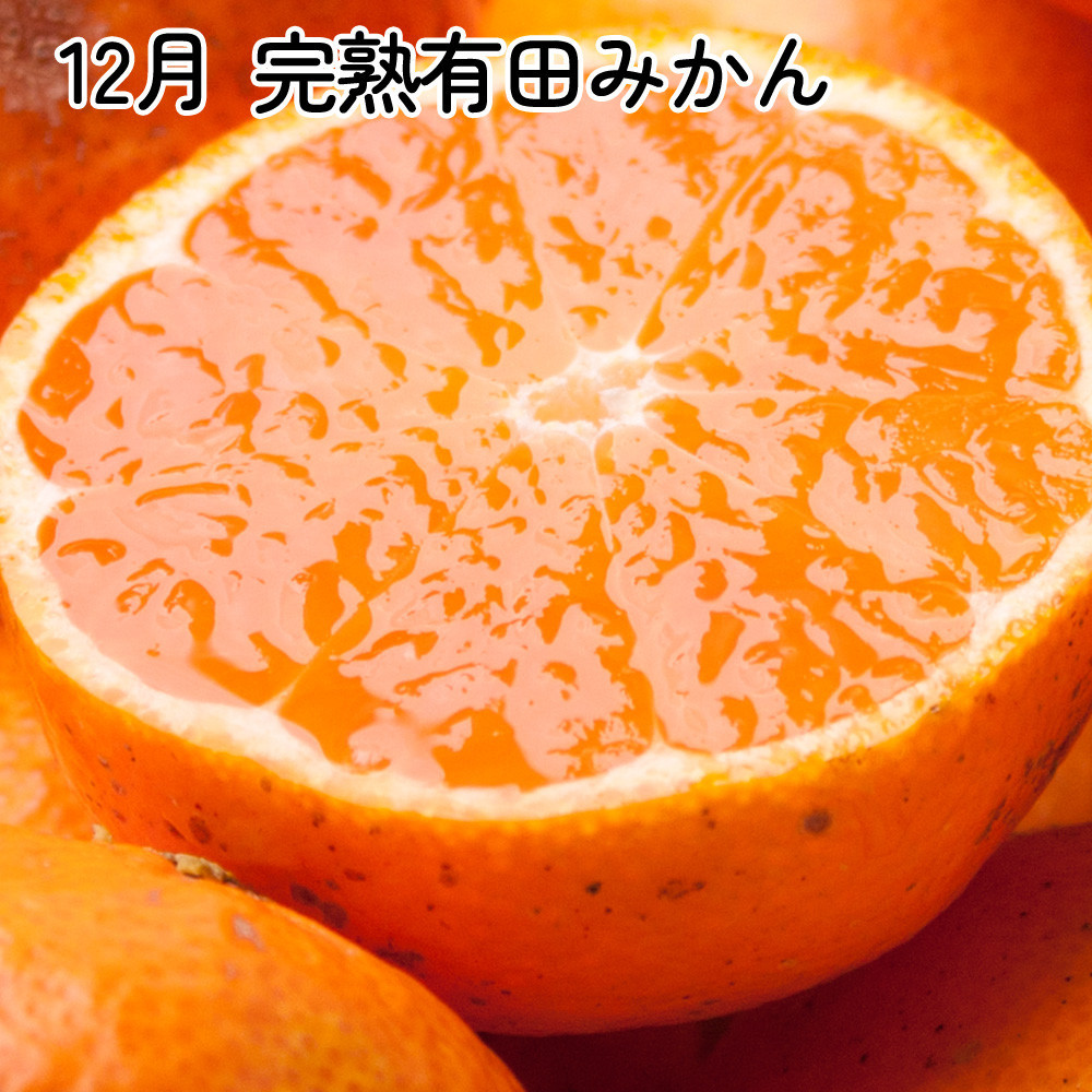 厳選 柑橘定期便SS（10〜12月）全3回【みかん定期便お試し版】［IKE284］