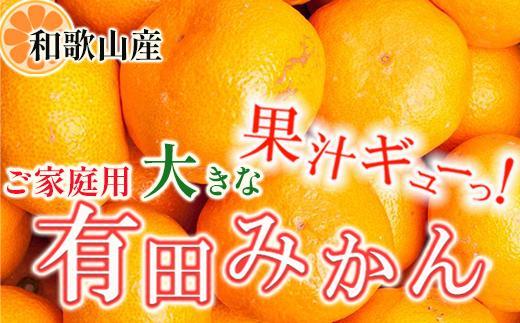 ［先行予約］家庭用 大きな有田みかん5kg+250g（傷み補償分）［2026年11月中旬から2027年1月末日頃、順次発送予定］［IKE244］