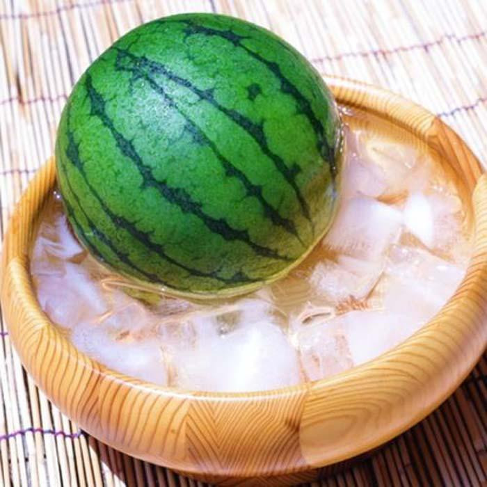 ［先行予約］厳選 小玉すいか Ｍサイズ／１玉入り［農家直送］［和歌山県産］［MS126］