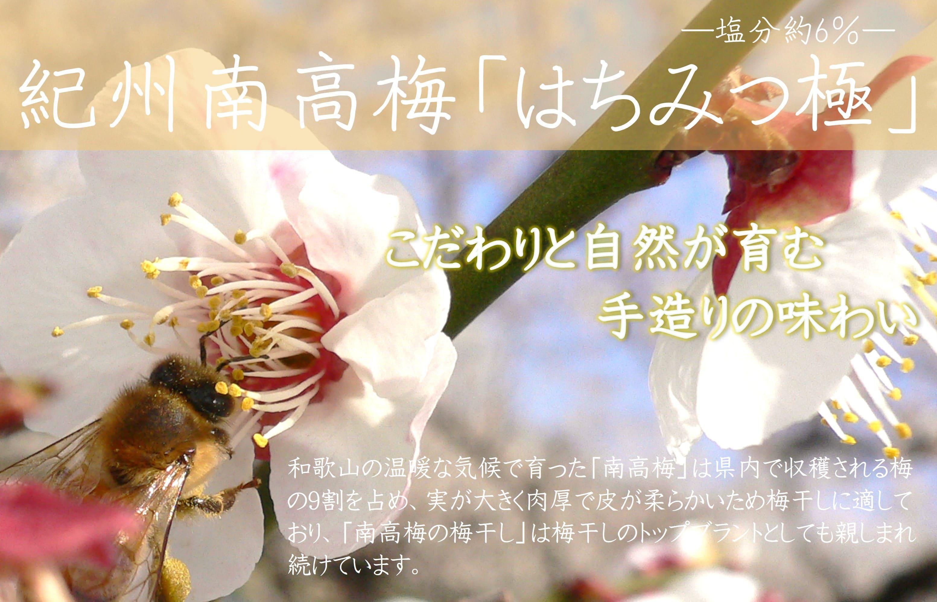 邏蟾槫漉鬮俶「 縺ッ縺。縺ソ縺、讌オ 蝪ゥ蛻邏6シ 850g シサYM10シス