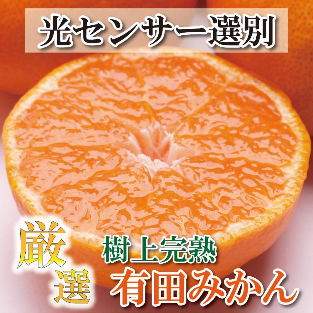 ＜11月より発送＞厳選 完熟有田みかん4kg+120g（傷み補償分）