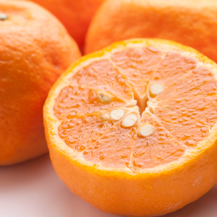 ［先行予約］厳選 カラマンダリン2.5kg+250g（傷み補償分）［南津海・なつみ］［希少な春柑橘］［みかんと同じように食べられます］［IKE66］