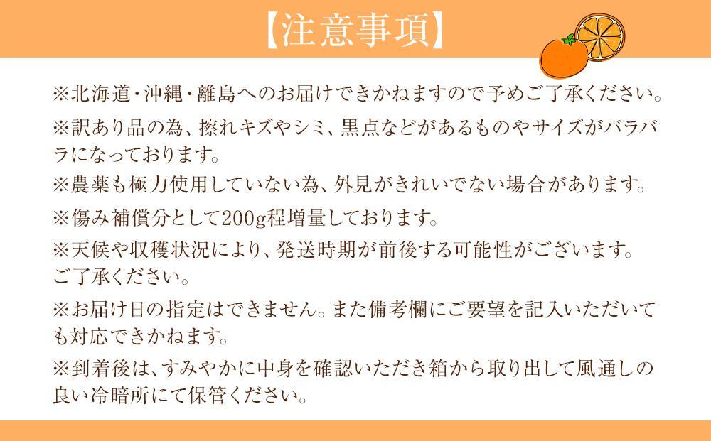 訳あり 森本農園の手選別 極早生みかん 10kg +200g傷み補償付 和歌山県産 2S~2Lサイズ混合 【北海道・沖縄・離島配送不可】【RN5】