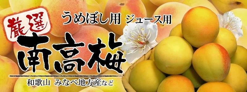 10kg 黄色【完熟】■特大サイズ 南高梅 梅干用フレッシュ青梅（生梅）／紀伊国屋文左衛門本舗