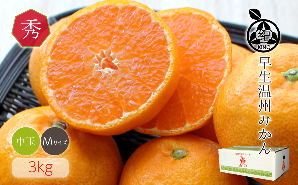 和歌山県産 早生温州みかん 秀品 Mサイズ 3kg [Sn2]