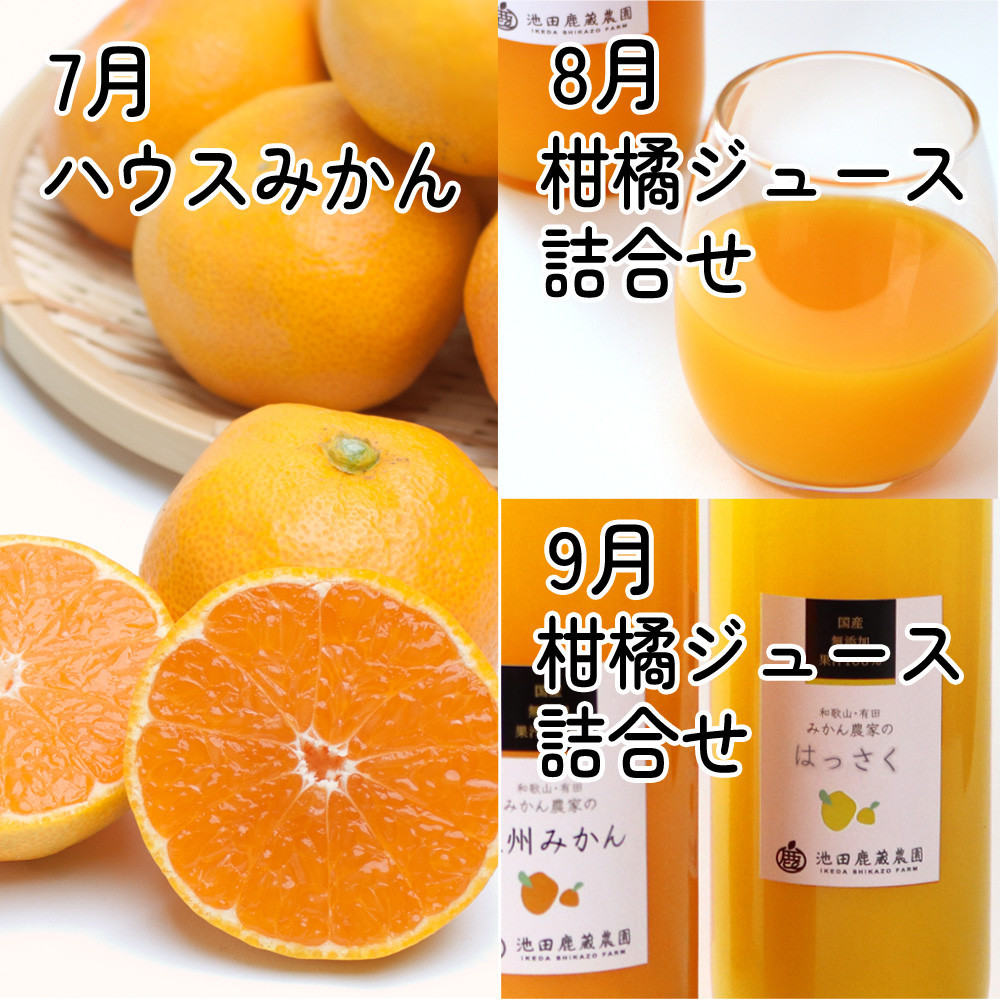 厳選 柑橘定期便M（7〜9月）全3回 ［IKE297］