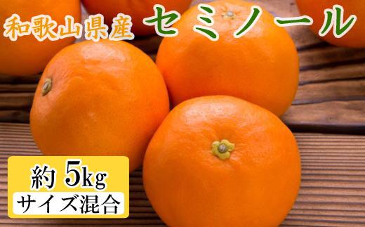 和歌山県産セミノールオレンジ約5kg(サイズ混合　秀品)★2025年4月頃より順次発送【TM146】