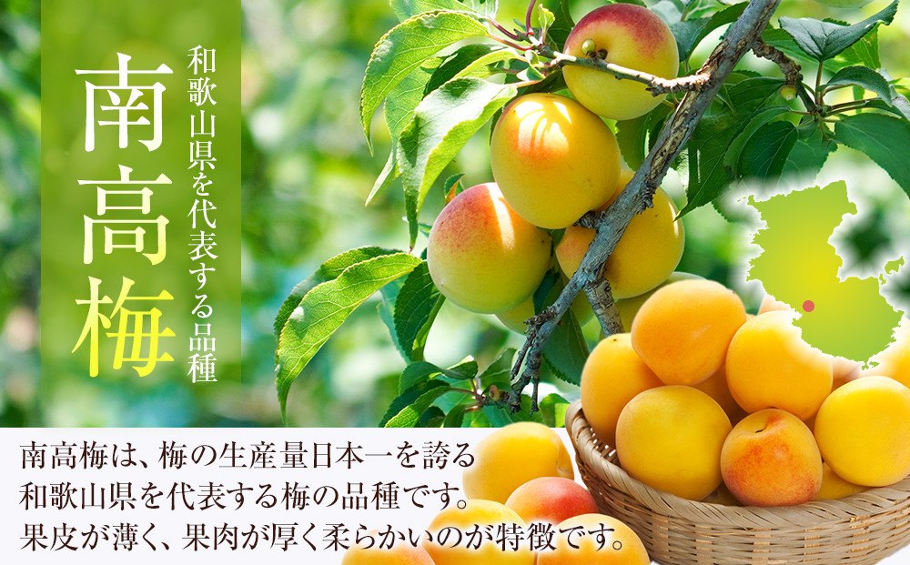 蜀キ蜃 邏蟾槫漉鬮俶「 螳檎滓「 邏5kg L縲4L繧オ繧、繧コ豺キ蜷 縺泌ョカ蠎ュ逕ィ