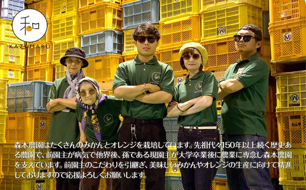 螳カ蠎ュ逕ィ 譽ョ譛ャ霎イ蝨偵ョ謇矩∈蛻・ 螟ァ邇画ク隕九が繝ャ繝ウ繧ク 邏7kg 蜥梧ュ悟アア逵檎肇 2L~4L繧オ繧、繧コ豺キ蜷 シサ蛹玲オキ驕薙サ豐也ク繝サ髮「蟲カ驟埼∽ク榊庄シスシサ2026蟷エ2譛井ク頑流縺九i5譛井クュ譌ャ鬆鬆谺。逋コ騾∽コ亥ョ夲シスシサRN101シス