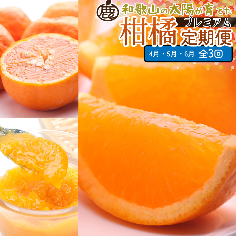 厳選 柑橘定期便S（4〜6月）全3回 ［IKE289］