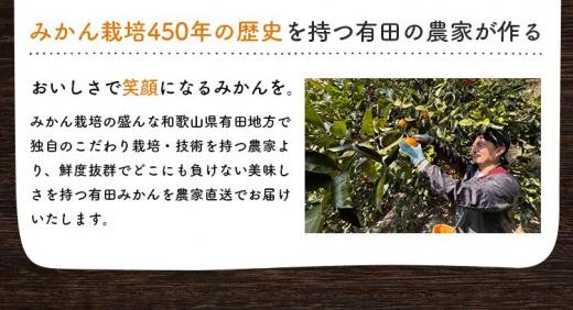 ご家庭用 濃厚完熟 有田みかん 約4kg【先行予約  2024年11月下旬〜12月中旬発送 】農家直送 訳あり