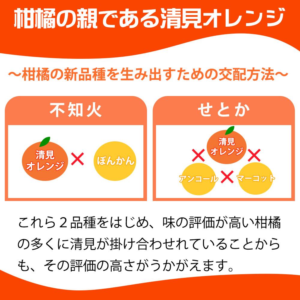 とにかくジューシー清見オレンジ 約2.5kg【2025年3月下旬以降発送】【先行予約】【UT131】