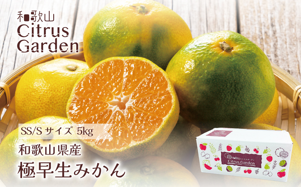 和歌山県産 極早生みかん 家庭用 小玉（SSかSのいずれか、またはサイズ混合） 5kg ［Sn11］