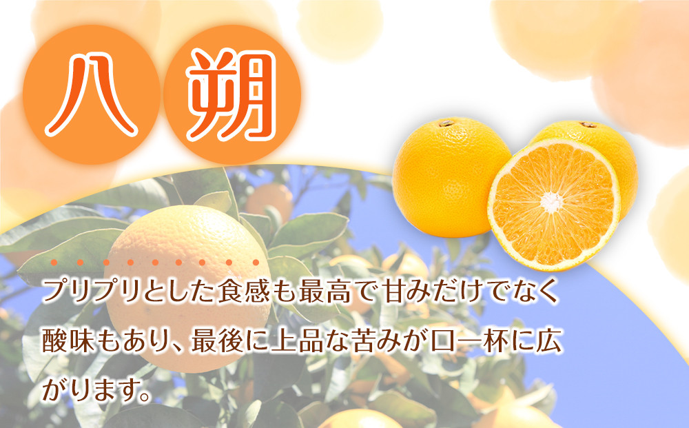 贈答用 森本農園の手選別 八朔 約2kg 和歌山県産 サイズ混合 ［北海道・沖縄・離島配送不可］［2026年1月中旬から発送予定］［RN122］★