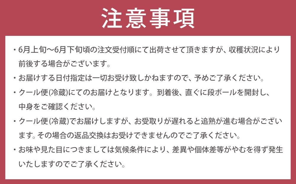 【2026年6月上旬以降発送】紀州南高梅(完熟梅) 10kg〈2Lサイズ〉