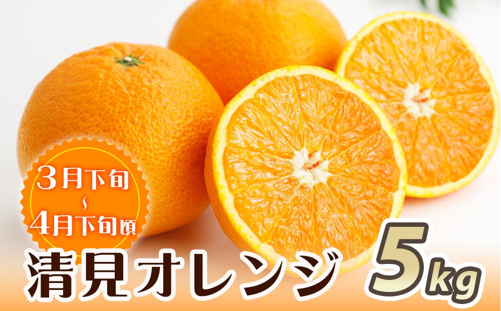 éé¶Žååºå³éžïŒœåæå±±äººæ°ã®ææ©å®æäŸ¿ïŒæç°ã¿ããã»äžç¥ç«ã»æž
èŠãªã¬ã³ãžïŒïŒ»å®æäŸ¿å
š3åUT116