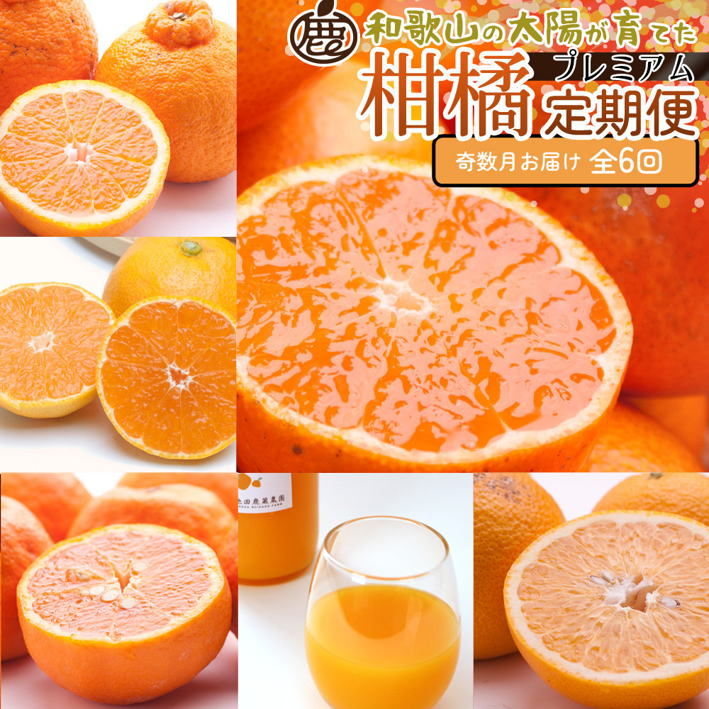 厳選 柑橘定期便S（奇数月）全6回［IKE287］