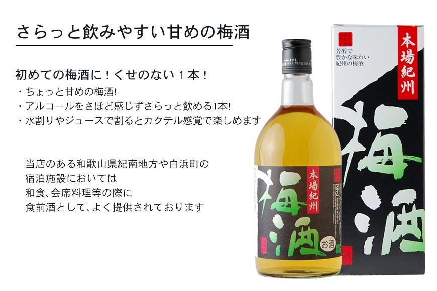 本場紀州 梅酒 6本セット