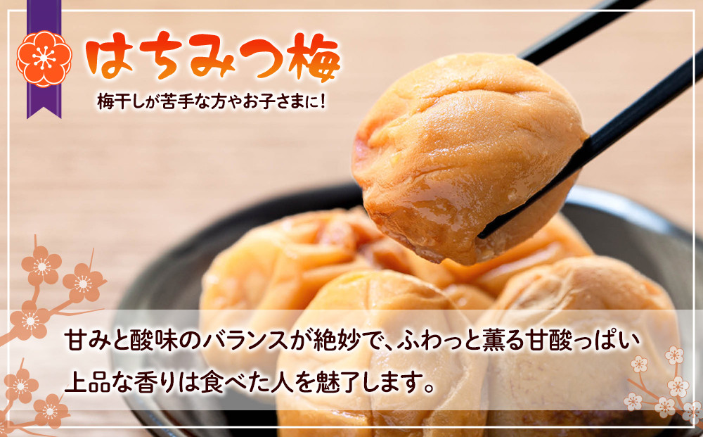 訳あり つぶれ 梅干し 合計700g （350g×2パック） はちみつ 塩分約5％
