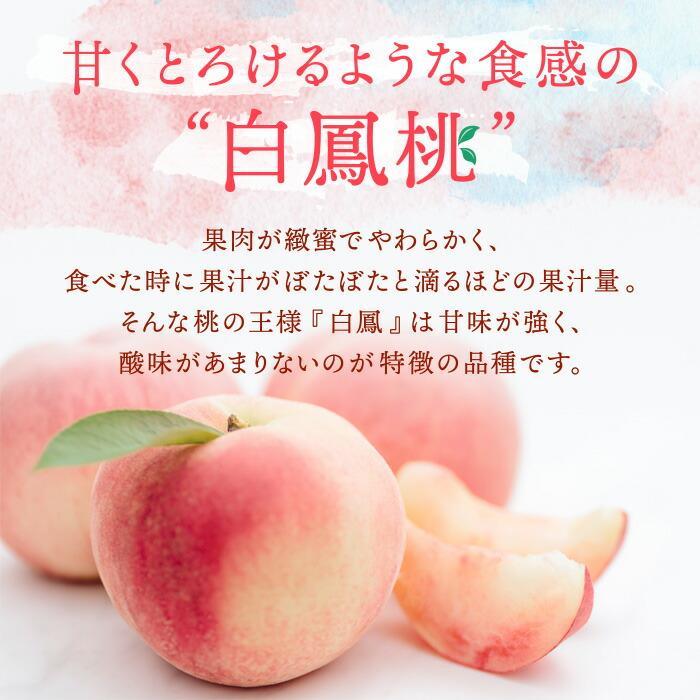 和歌山県産 白鳳 桃 5〜8玉入り 秀品 先行予約【2025年6月下旬以降発送】【MG6】